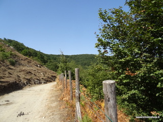 Malabotta Faggita
